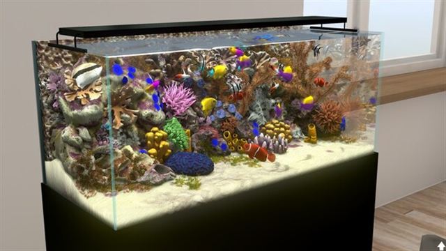 Hình ảnh trong game Behind Glass Aquarium Simulator v1.2-P2P