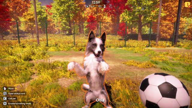 Hình ảnh trong game Animal Shelter 2 v1.0.32-P2P