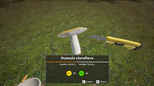 Hình ảnh trong game Mushroom Hunter World-TENOKE