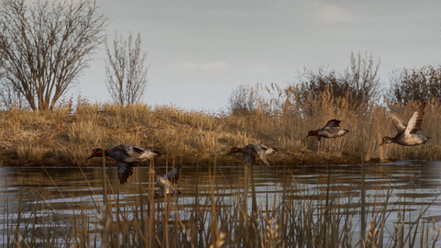 Hình ảnh trong game BULT Hunting Simulator Early Access