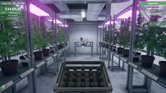 Hình ảnh trong game Weed Supermarket Simulator Early Access