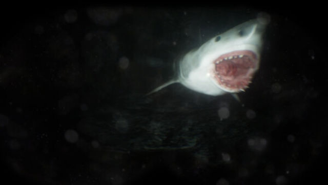 Hình ảnh trong game Scary Cave Diving-GoldBerg