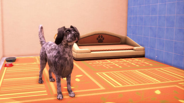 Hình ảnh trong game Animal Shelter 2 Hunting Dogs Pack-RUNE