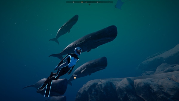 Hình ảnh trong game Beyond Blue v1.7.17798-P2P