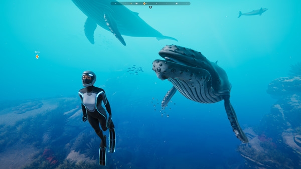 Hình ảnh trong game Beyond Blue v1.7.17798-P2P
