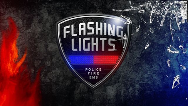 Tải game Flashing Lights v20260821-P2P Tải game Flashing Lights v20260821-P2P